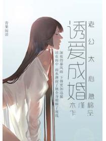诱爱成婚:老公太心急
